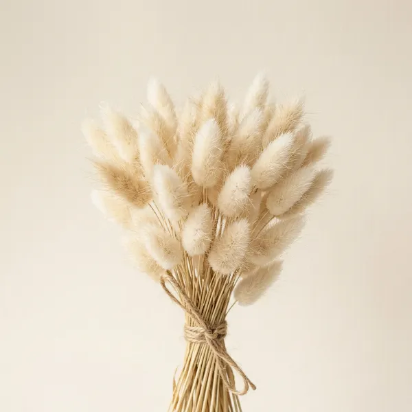 Bunny Tails