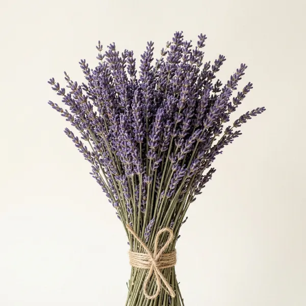 Dried Lavender