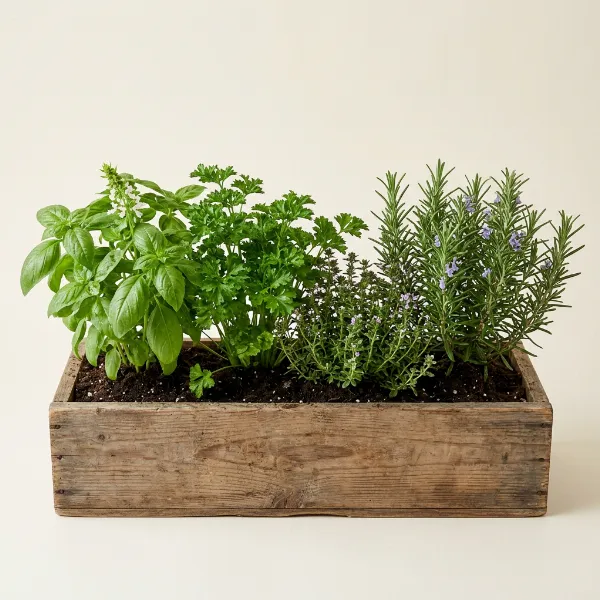 Kitchen Herb Box